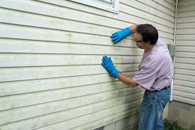 Affordable Siding Repair and Maintenance Services in Lake Jackson, TX